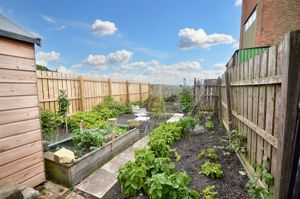 Allotment garden- click for photo gallery